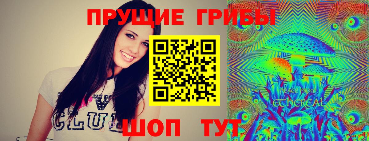 Псилоцибиновые грибы прущие грибы Мыски